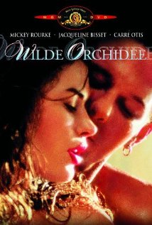 野兰花/Wild Orchid